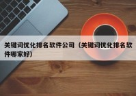 关键词优化排名软件公司（关键词优化排名软件哪家好）