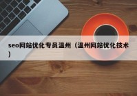 seo网站优化专员温州（温州网站优化技术）