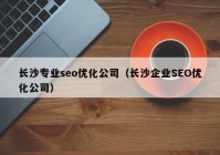 长沙专业seo优化公司（长沙企业SEO优化公司）