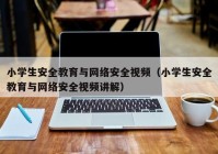 小学生安全教育与网络安全视频（小学生安全教育与网络安全视频讲解）