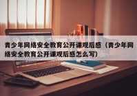 青少年网络安全教育公开课观后感（青少年网络安全教育公开课观后感怎么写）