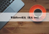 专业的seo优化（优化 seo）